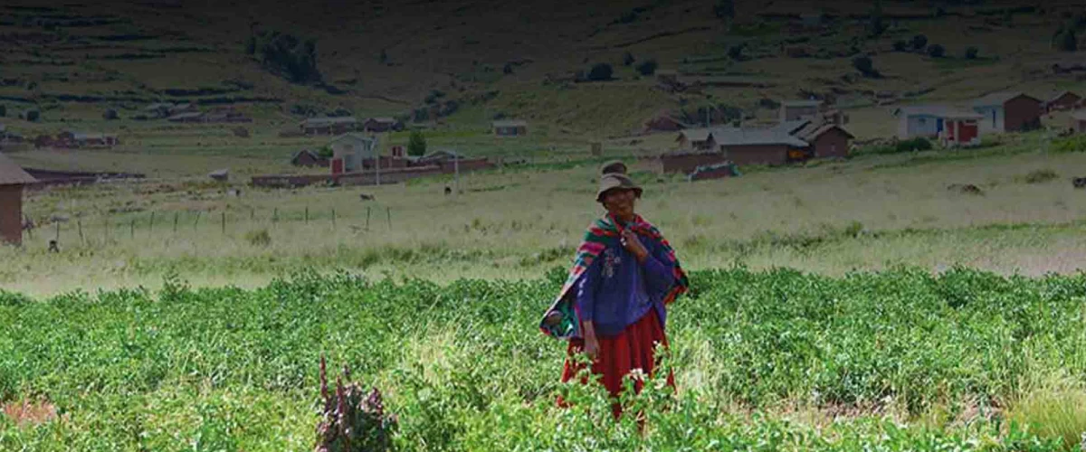 Comunidades indígenas: 4 aportes para la sostenibilidad | CHEC