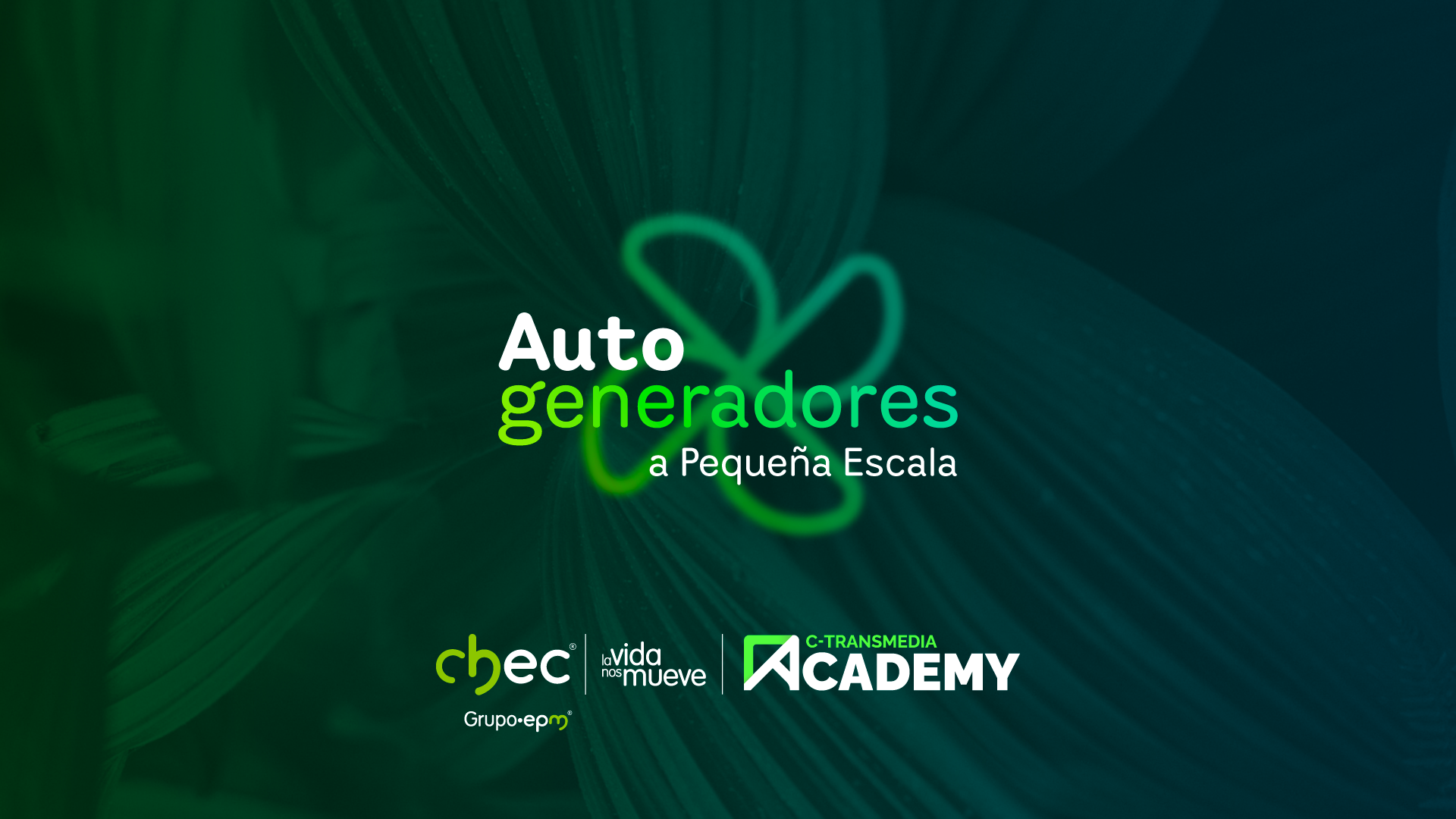 Autogeneradores a pequeña escala